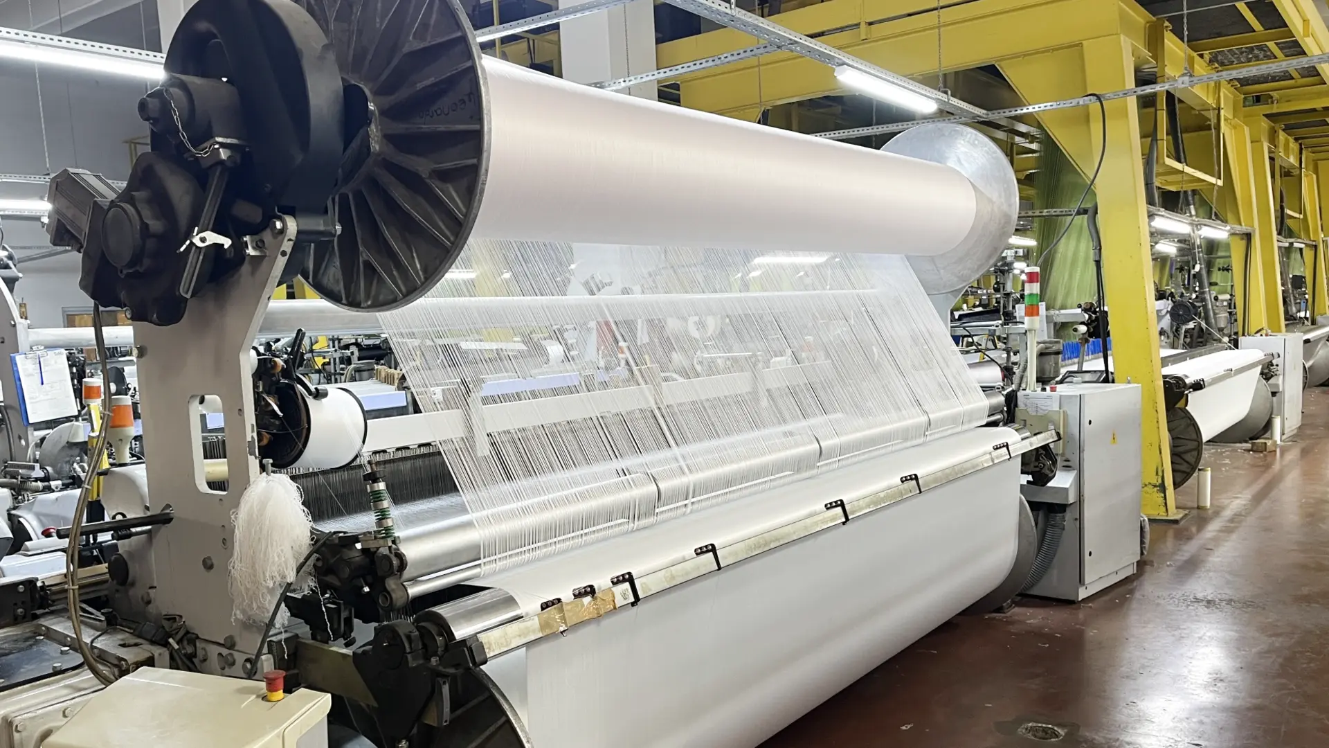 Warp yarns running from the beam to the loom